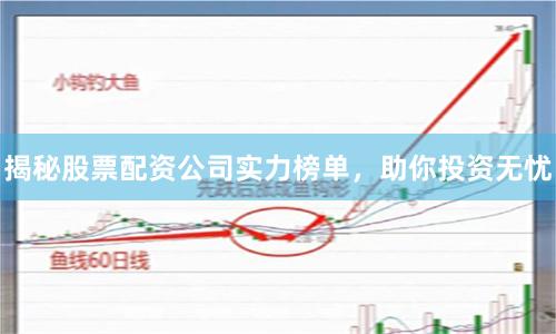 揭秘股票配资公司实力榜单，助你投资无忧