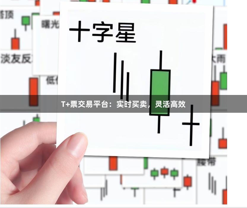 T+票交易平台：实时买卖，灵活高效