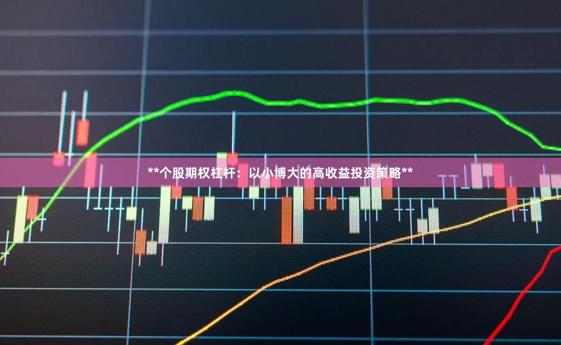 **个股期权杠杆：以小博大的高收益投资策略**
